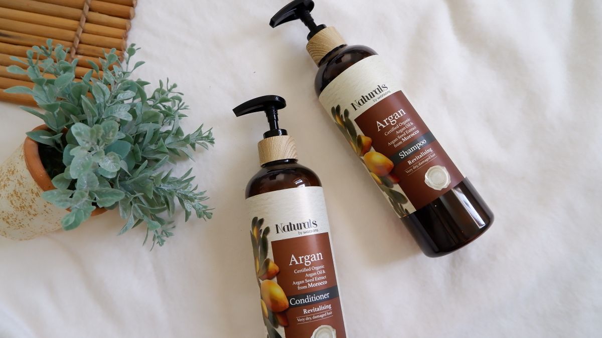 Shampoo and conditioner bottles beside a potted plant, the pair a hair strengthening shampoo routine is built around