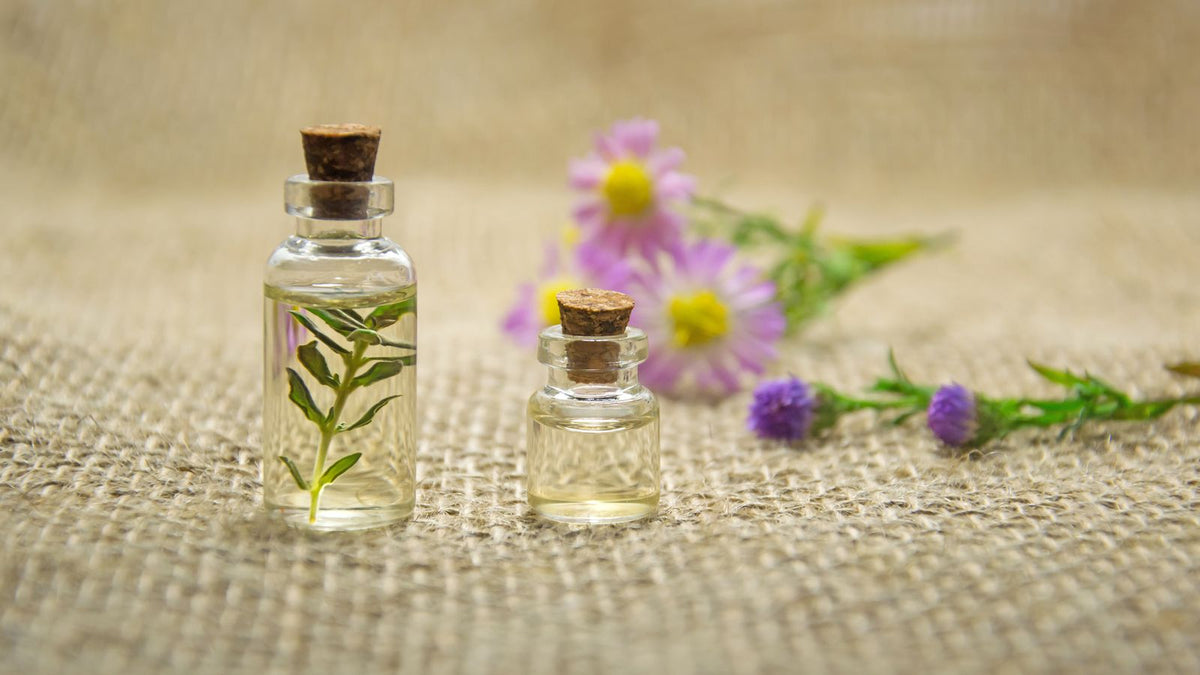 Glass bottles of herb infused oil, the finished result when you infuse herbs in oil hair growth routines rely on