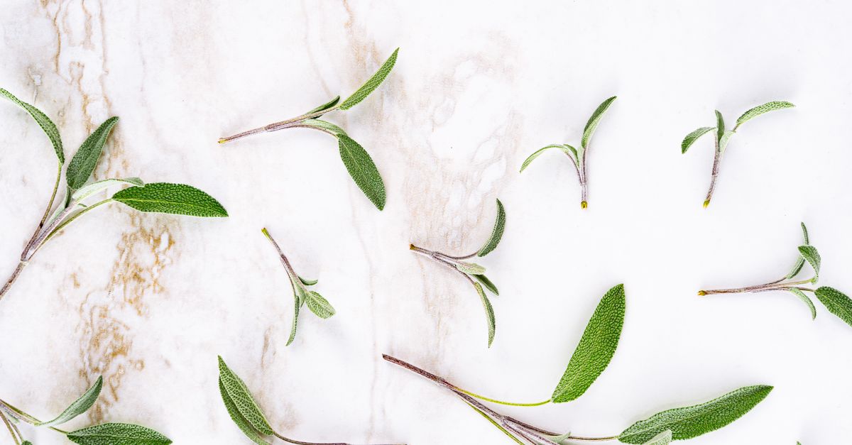 Fresh sage leaves used for a herbal hair rinse
