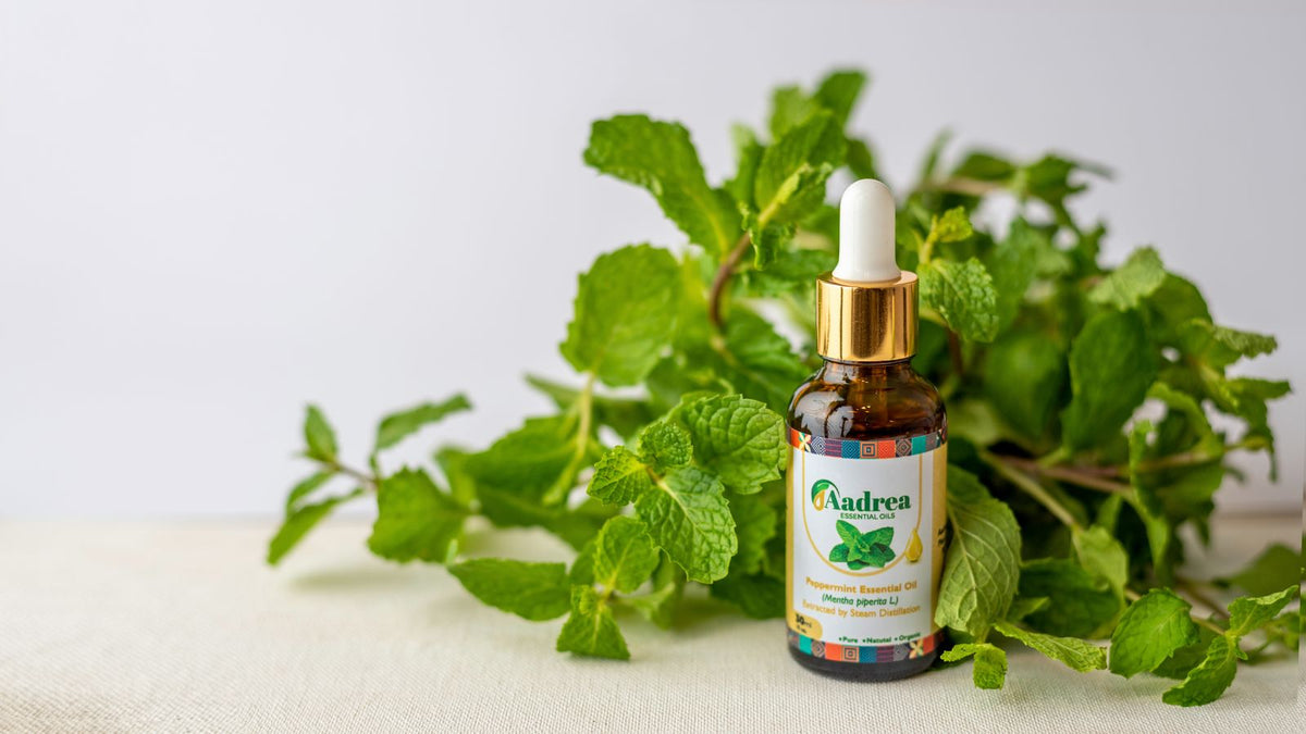 Fresh rosemary and mint for hair care laid out beside a bottle of carrier oil