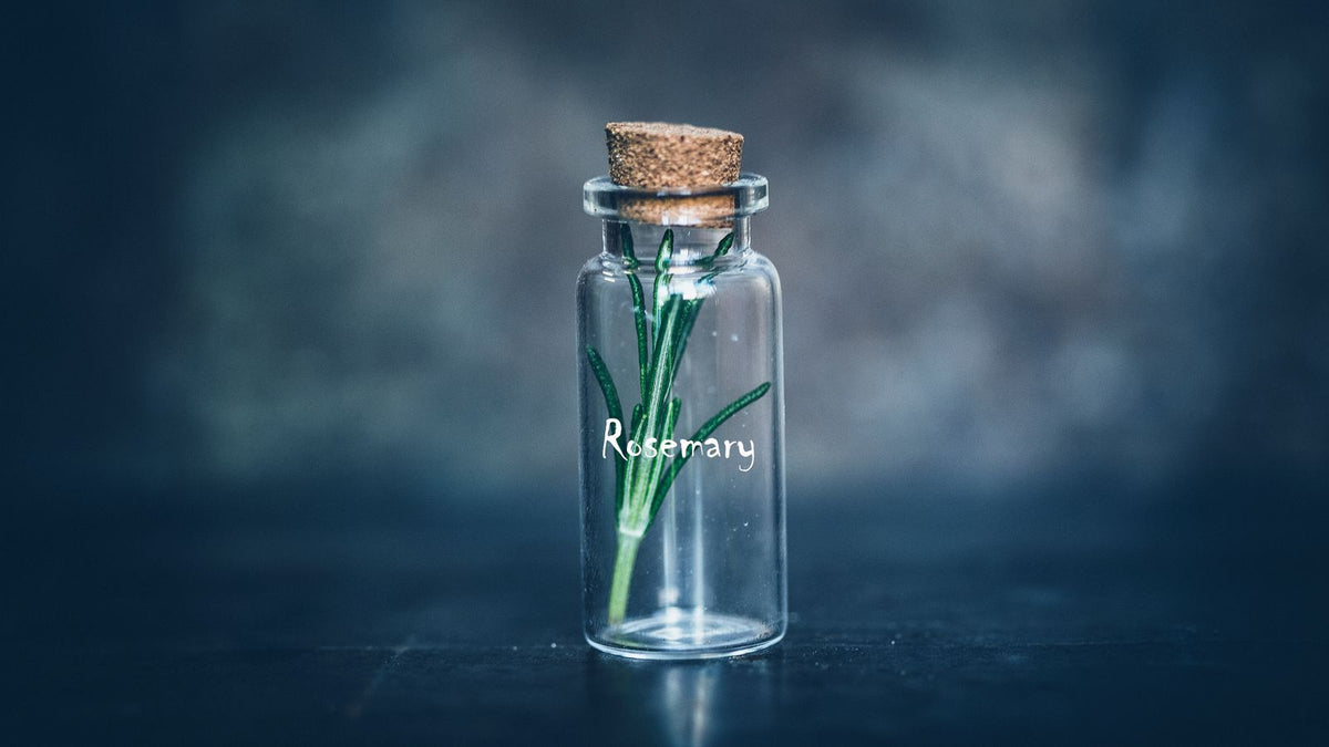 Sprig of rosemary in a glass bottle, the herb behind rosemary oil for hair