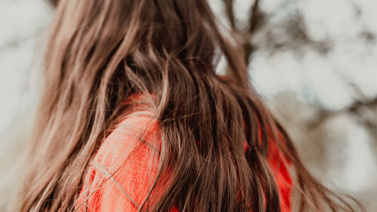Close-up of long brown hair with dry, fragile lengths, the kind of damage people ask a trichologist in Rotherham about