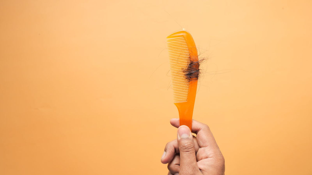 Hand holding a comb full of shed hair, the concern people bring to trichologists in Lambeth