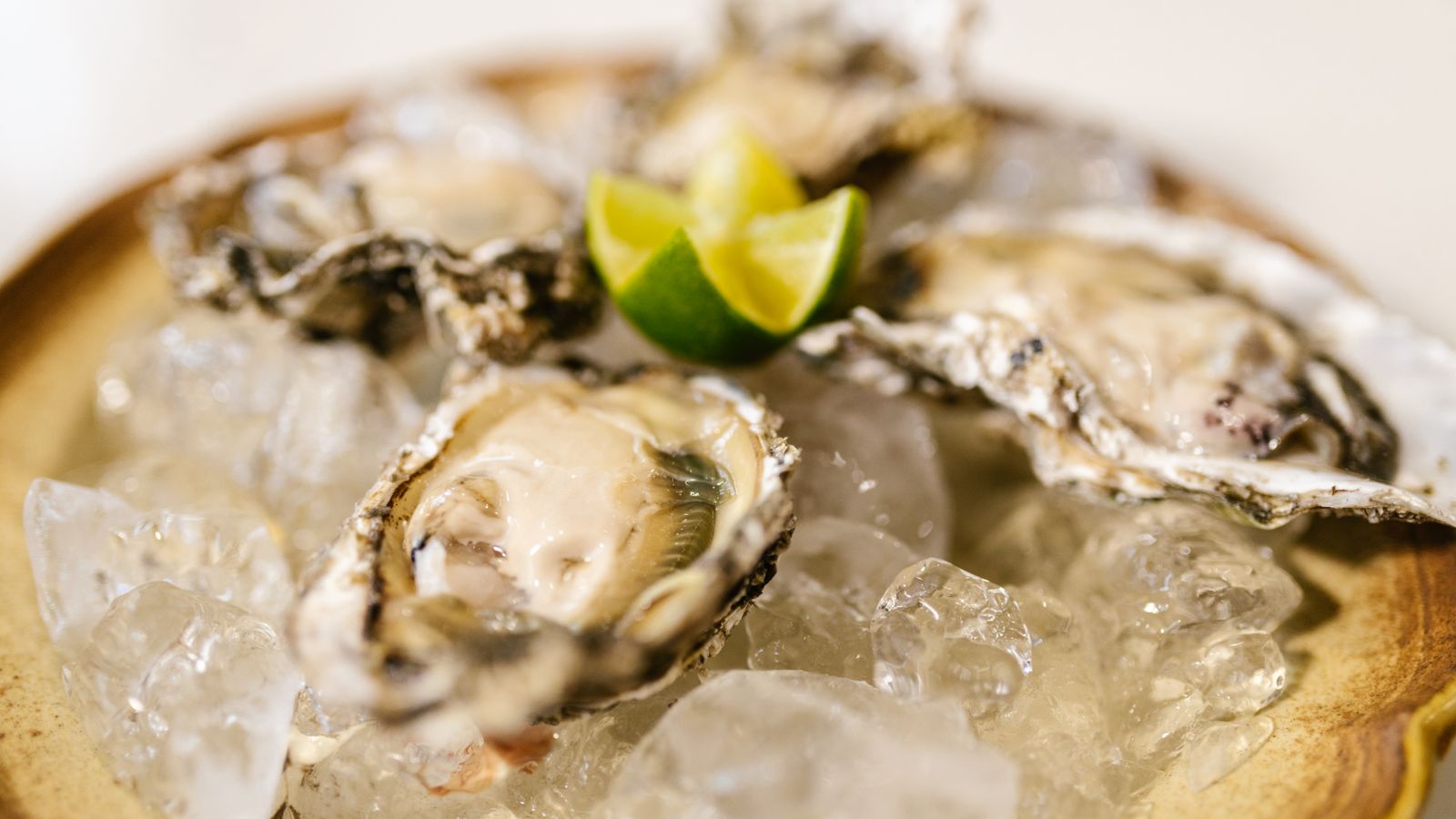 Fresh oysters on ice, one of the richest natural food sources of zinc for immune system support