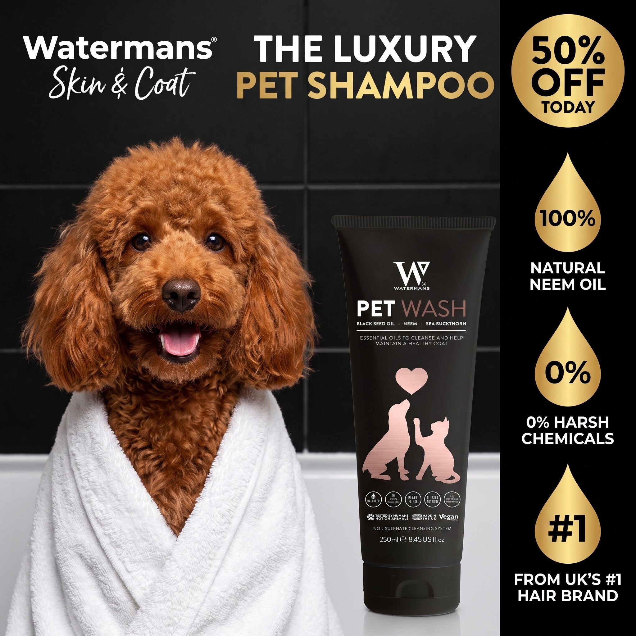 Best Dog Shampoo UK | Multi use for Dogs and Cats