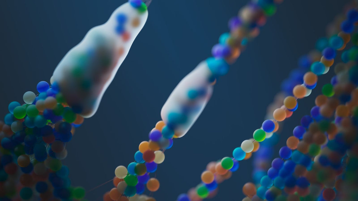 Colourful DNA strands illustrating androgen receptor polymorphisms