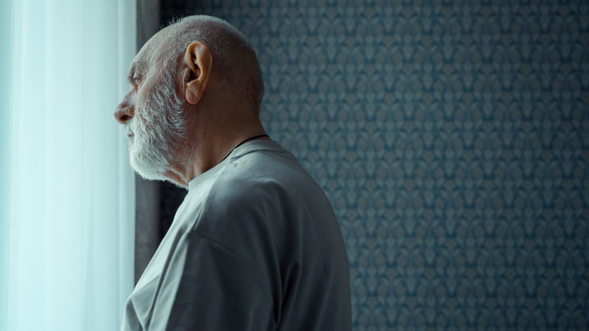 Older man looking thoughtfully out of a sunlit window, reflecting the question of whether B vitamins prevent dementia