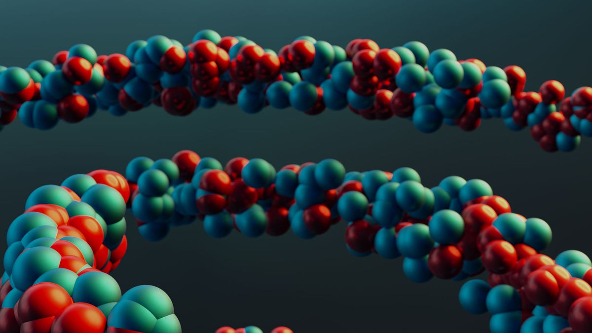 Colourful molecular model, a picture of the genetics behind estrogen receptor polymorphisms