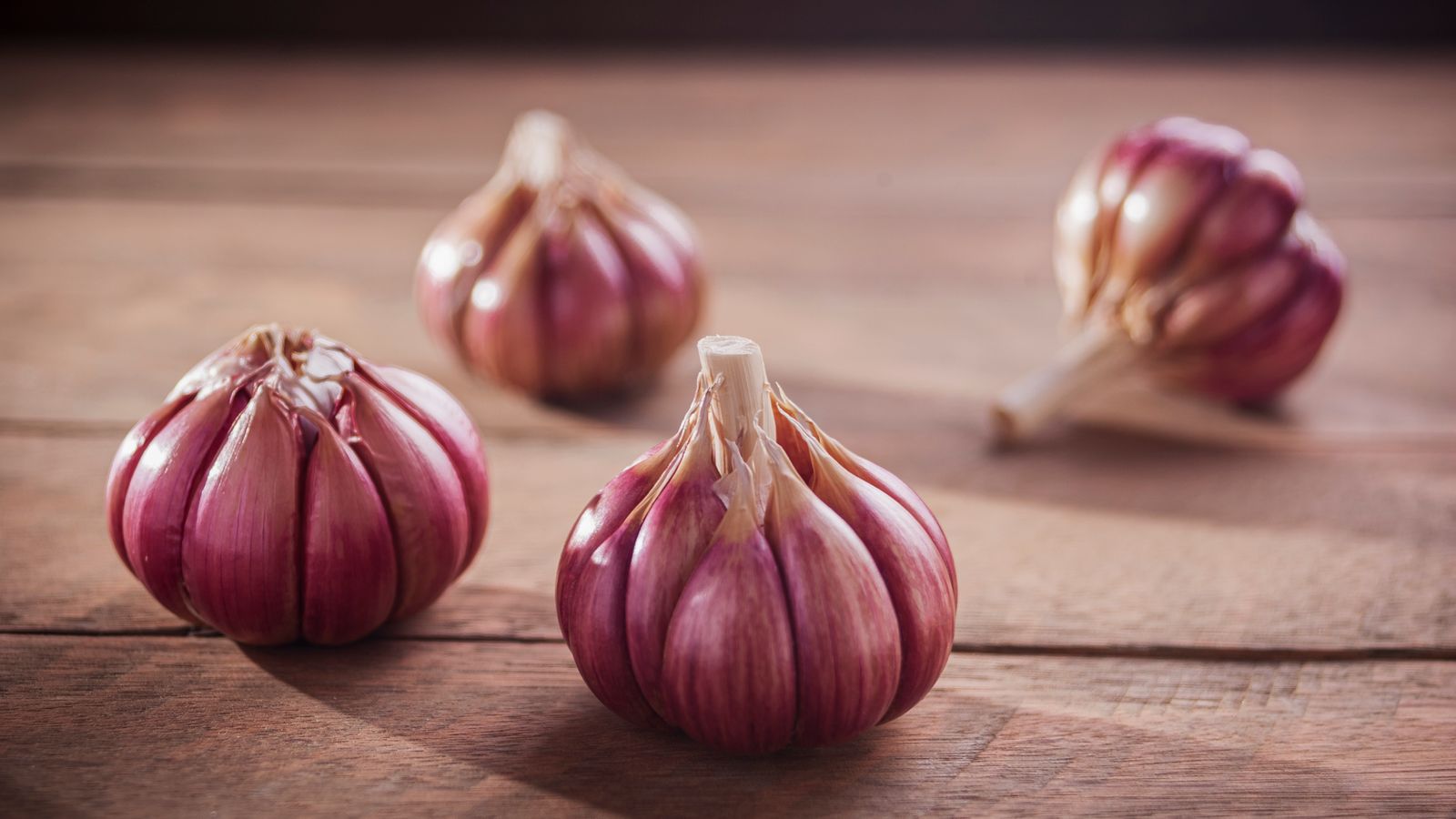 Fresh garlic bulbs on a rustic wooden table, the food at the centre of garlic and cholesterol claims