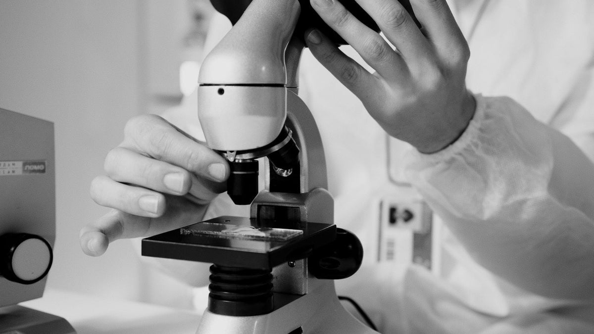 Scientist at a microscope, the laboratory research behind hair cloning