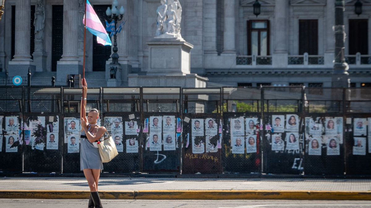 Person holding a transgender flag outside a historic building, part of the community asking about HRT hair expectations