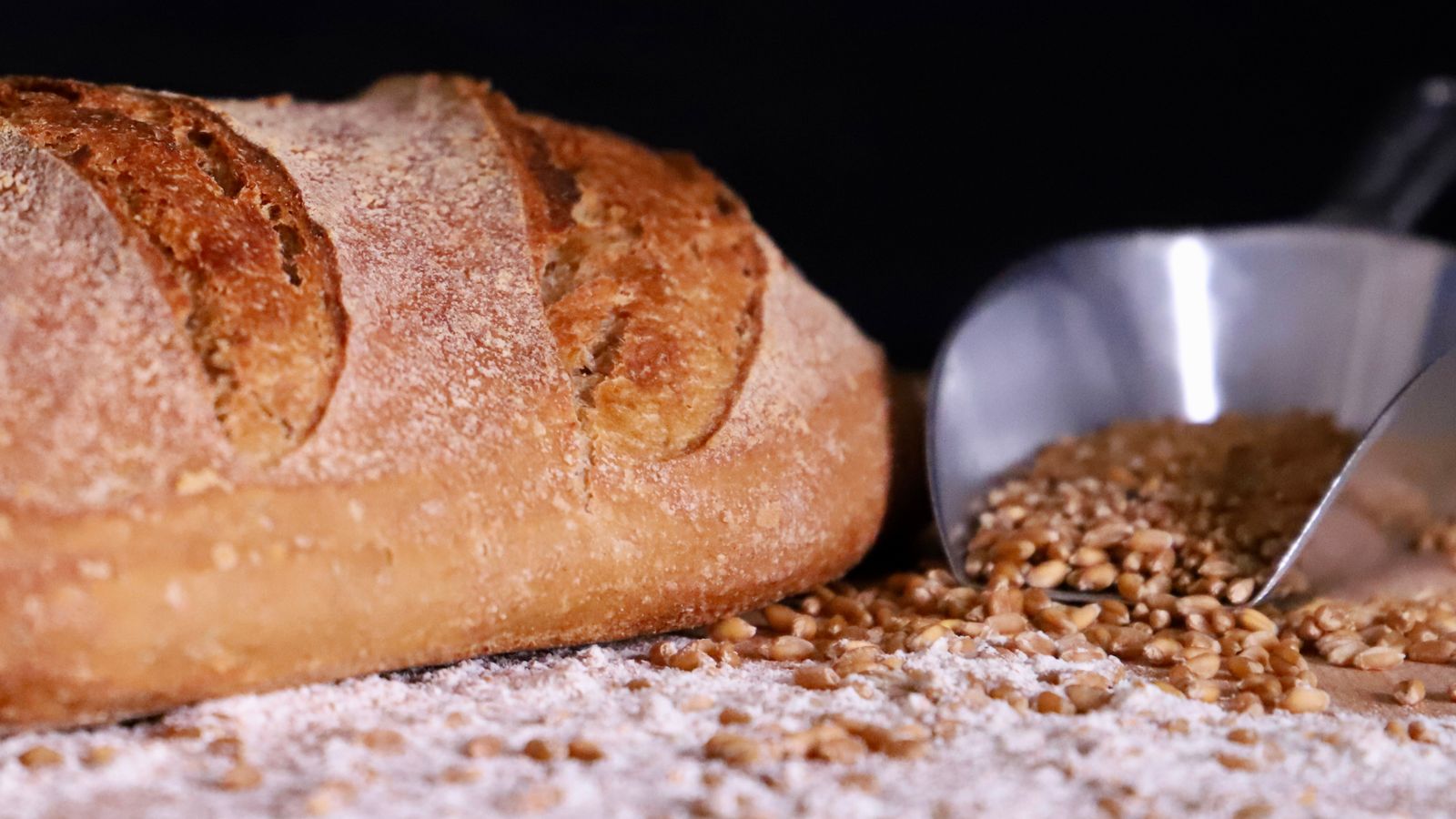 A rustic sourdough loaf beside scattered wheat grains, at the centre of the question is sourdough easier to digest