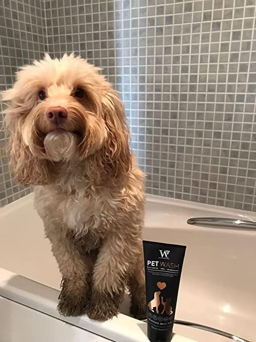 Pet Dog Shampoo for Itchy Skin, Antifungal Dogs & Cats Shampoo Sensitive Skin