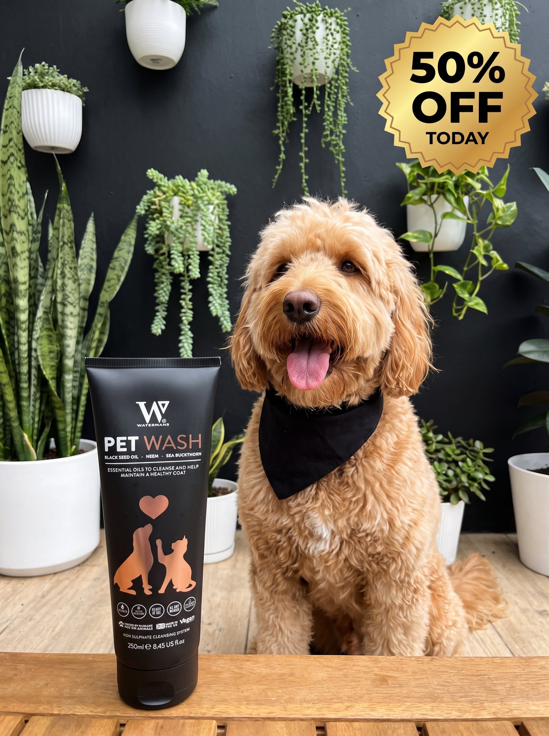 Best Dog Shampoo UK | Multi use for Dogs and Cats