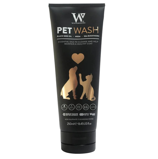 Best smelling dog shampoo